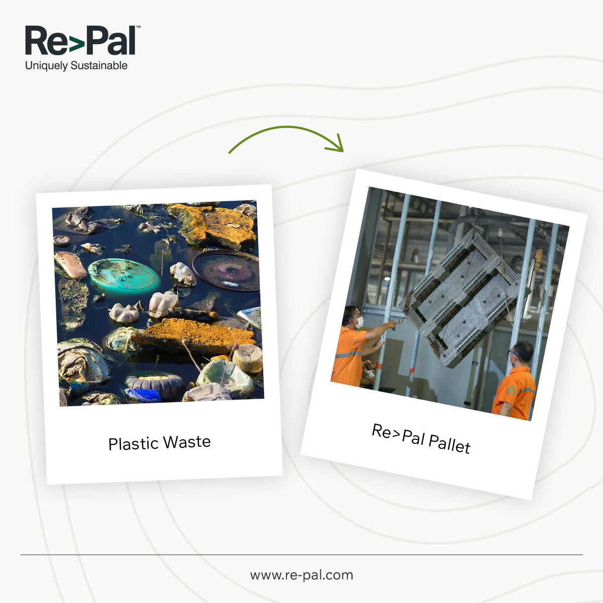 Timber pallets stacked beside Re>Pal recycled plastic pallets