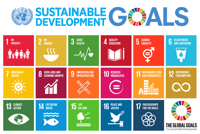 The Sustainable Development Goals – What Do They Mean for Business? - Re-Pal